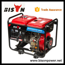 Bison China Zhejiang Generator Capacitor 2KW Brush AC St230 Volt Diesel Dynamo Generator